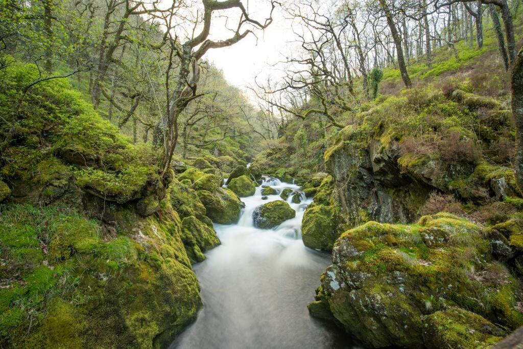 Charming Riverside Cottage In Snowdonia National Park Tanygrisiau Exterior foto